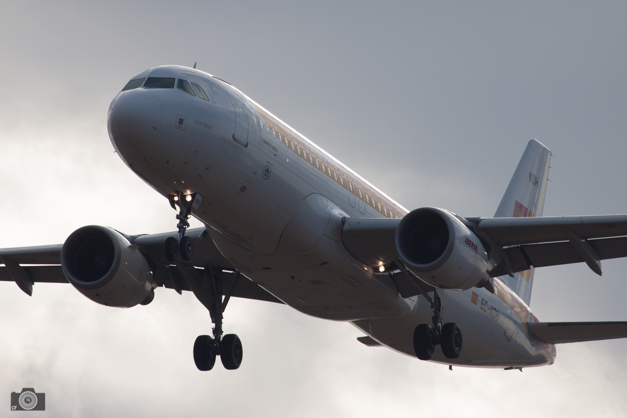 LEMD11_026.jpg